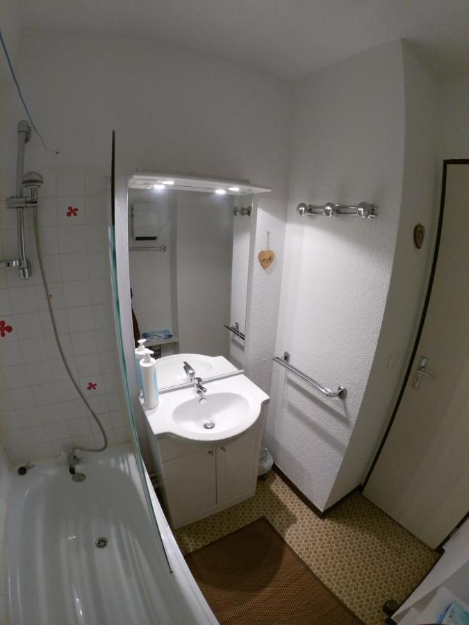 Studio Yomeo - La Joue Du Loup - Pied Des Pistes - 30M2 1 A 5 Personnes La Joue du Loup Luaran gambar